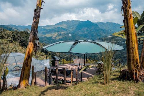 Cham� Glamping