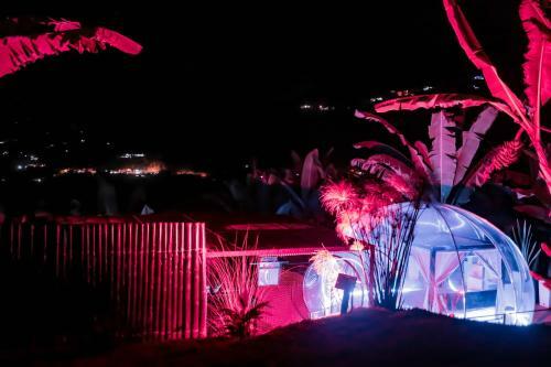 Cham� Glamping