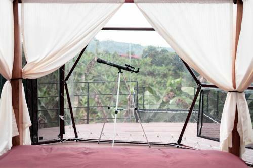 Cham� Glamping