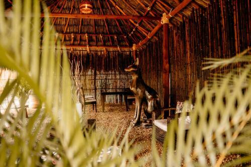 Saccharum, Villas De Lujo