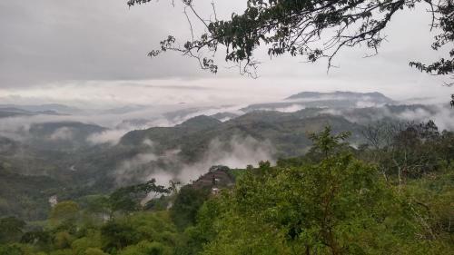 Alma Verde Glamping