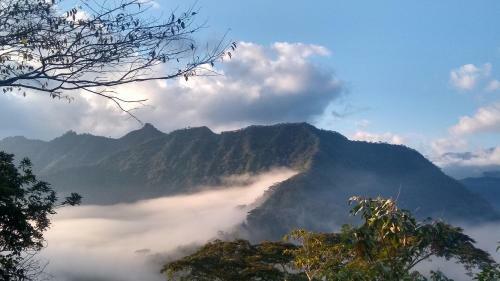 Alma Verde Glamping