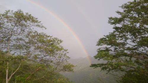 Alma Verde Glamping