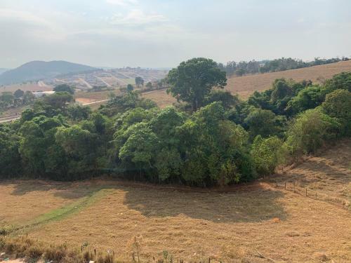 Apartamento Bela Vista De Capit�lio
