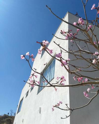 Hostal Su�tes Cana�