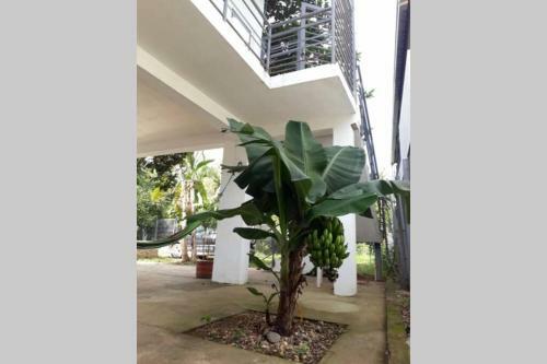 Casa Vacacional Camposol