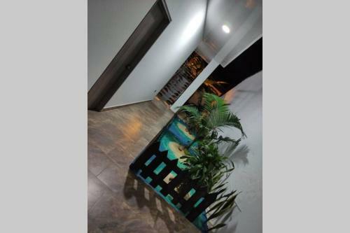Hotel Quinta Shaddai Melgar