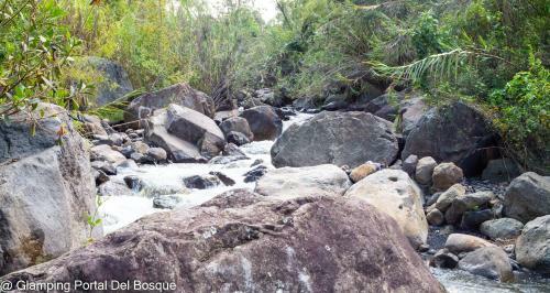 Glamping Portal Del Bosque