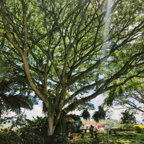Finca La Acuarela