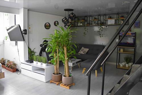Apartamento Loft Privado Con Terraza Y Jacuzzi
