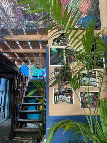 Casa Yow Surf