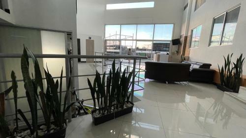 Apartahotel A 3km Del Parque Del Caf�