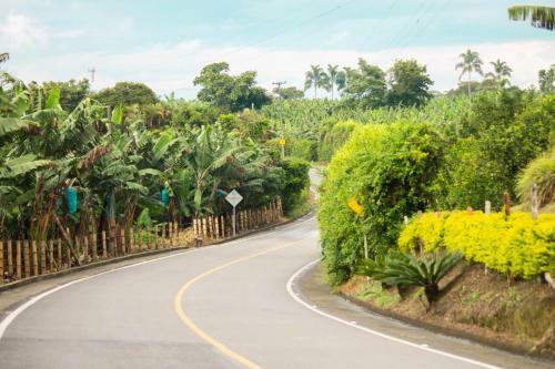 Hotel M�shoteles Finca La Dorada