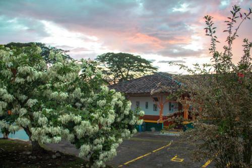 Hotel M�shoteles Finca La Dorada