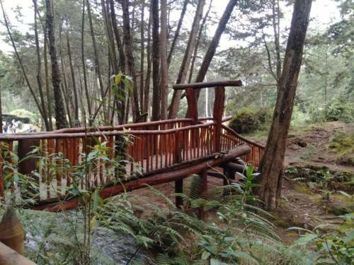 Lodge Granja Homestay