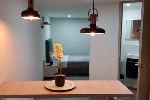 Gray Apartment