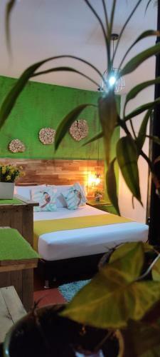 Hostal The Garden Lleras