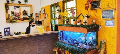 Hostal The Garden Lleras