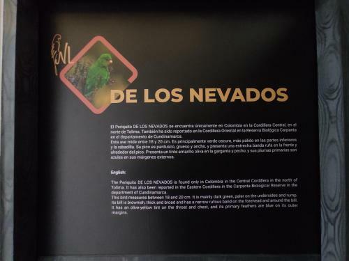 Hostal Hostel Boutique Nido De Loros