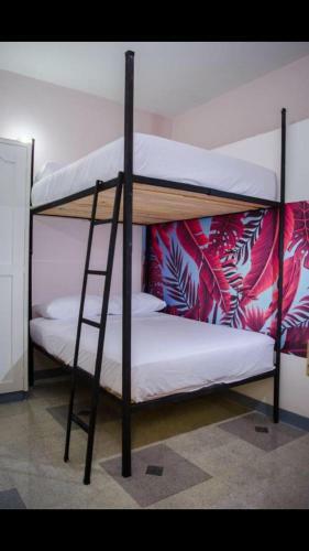 Hostal Pura Vida La 70
