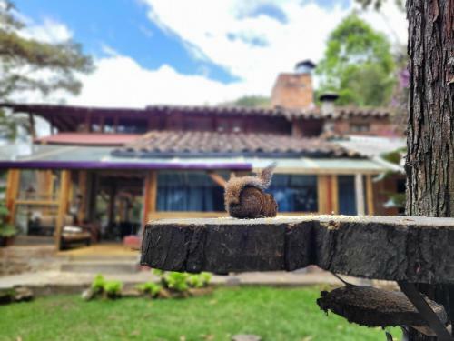 Hostal Refugio En El Bosque