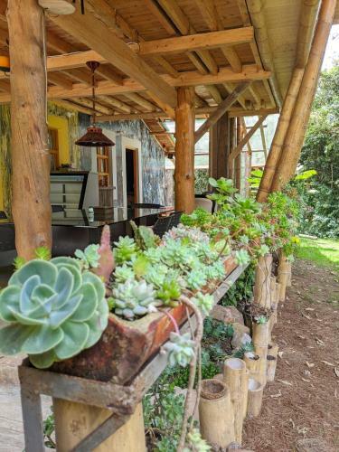 Hostal Refugio En El Bosque