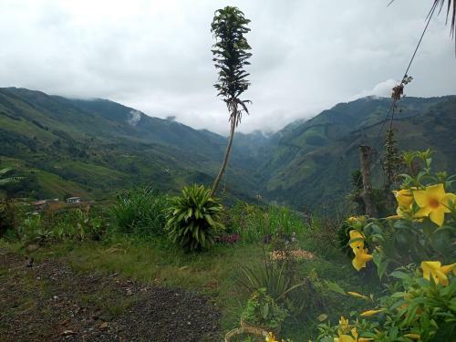 Finca Natural