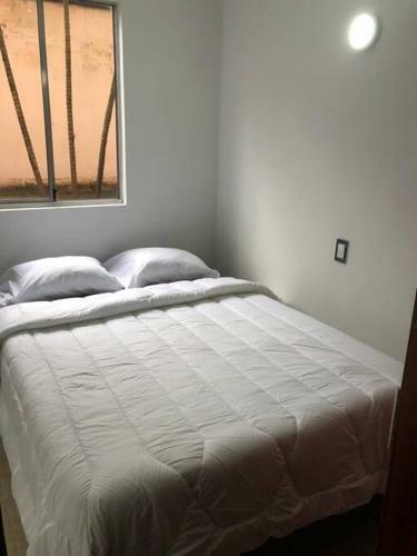 Apartamento Color's View