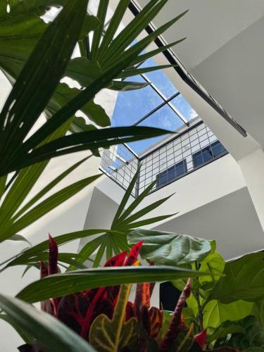 Apartamento 80cooliving Medell�n