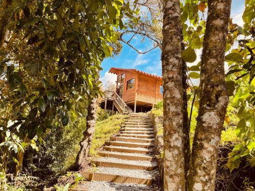 Bruma Blanca Chalets