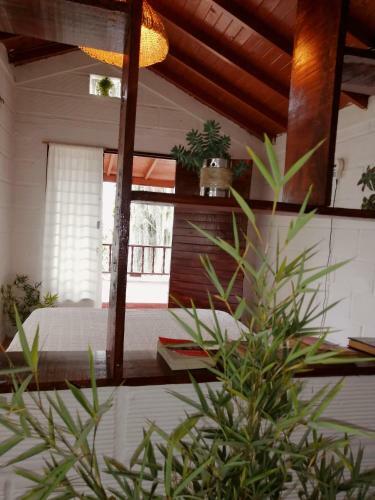 Bed & Breakfast Hostal Casa La Juana