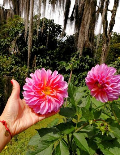 Bed & Breakfast Hostal Casa La Juana