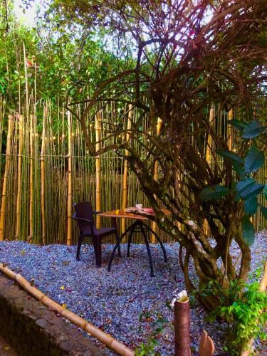 Bed & Breakfast Hostal Casa La Juana