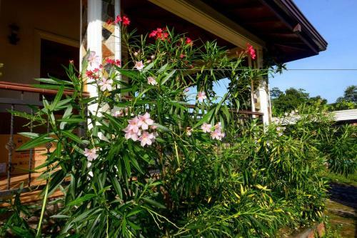 Hostal Kings Kingdom Villa