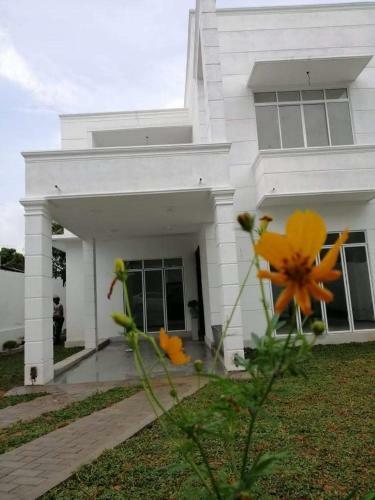 Hostal Vidushi Home