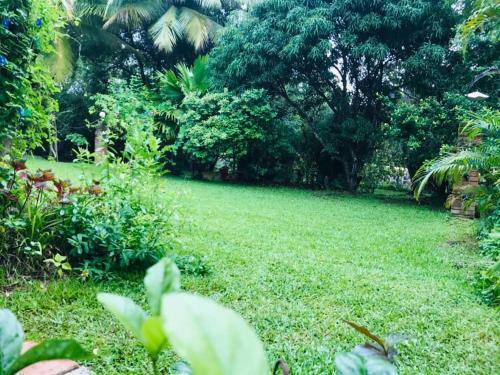 Hostal Randiya Holiday Resort