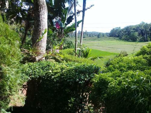 Apartamento Paddy Field Villa Midigama