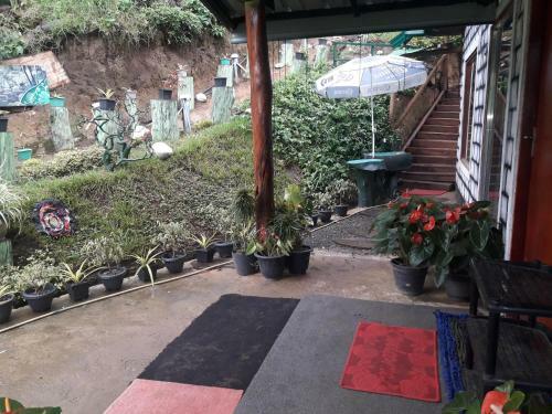 Ohiya Jungle Resort