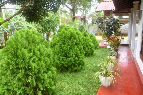 Hostal Lakwin Guest Wilpattu