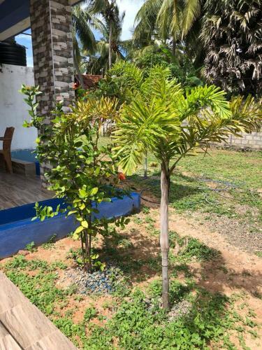 Hotel Nilaveli Bluemoon