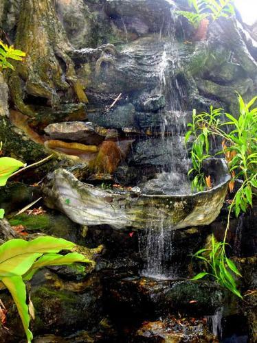 Hostal Blue Lotus Garden Hotel