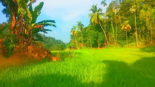 Apartamento Heeloya Cottage - Heeloya Sri Lanka