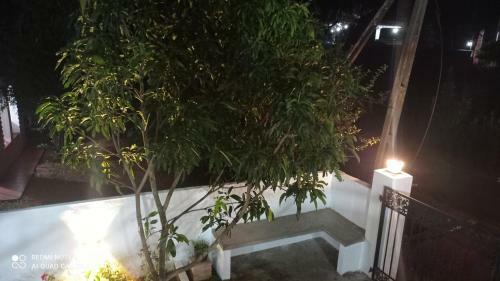 Leisure Stay