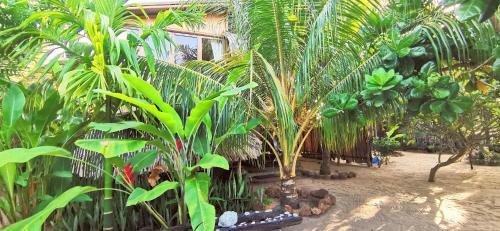 Bed & Breakfast Monsoon. Whisky Point - Arugam Bay