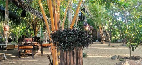 Bed & Breakfast Monsoon. Whisky Point - Arugam Bay