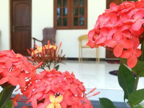 Hostal Geethani Tourists Home