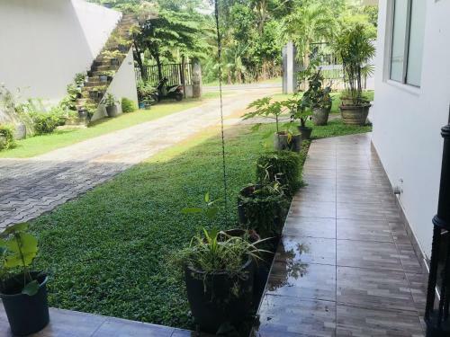 Hostal Peacock Vista Guest House