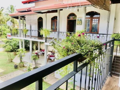 Hostal Peacock Vista Guest House