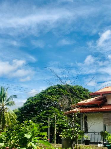 Hostal Peacock Vista Guest House