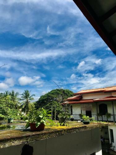 Hostal Peacock Vista Guest House